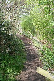 WR194 Damage to fence, before